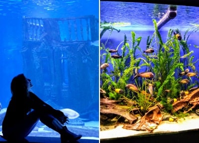 Belek zum Antalya Aquarium